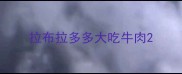 拉布拉多多大吃牛肉