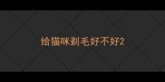 给猫咪剃毛好不好