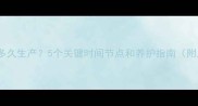 边牧怀孕多久生产5个关键时间节点和养护指南附产前清单
