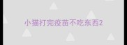 小猫打完疫苗不吃东西