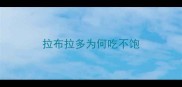 拉布拉多为何吃不饱