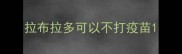 拉布拉多可以不打疫苗