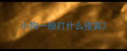 小狗一般打什么疫苗