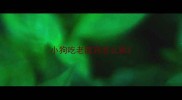小狗吃老鼠药怎么救
