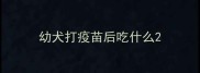 幼犬打疫苗后吃什么