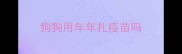 狗狗用年年扎疫苗吗
