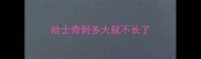 哈士奇到多大就不长了