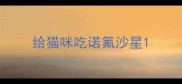 给猫咪吃诺氟沙星