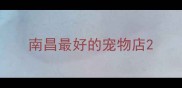 南昌最好的宠物店