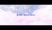 夏季要不要给金毛剃毛