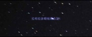 拉布拉多眼线有点深