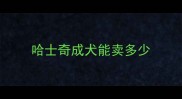 哈士奇成犬能卖多少