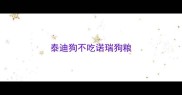 泰迪狗不吃诺瑞狗粮