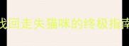 猫咪走失别慌5步找回走失猫咪的终极指南附亲测有效技巧