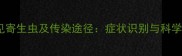 哈士奇常见寄生虫及传染途径症状识别与科学预防指南