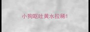 小狗呕吐黄水拉稀