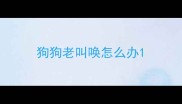 狗狗老叫唤怎么办