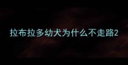 拉布拉多幼犬为什么不走路