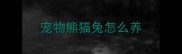 宠物熊猫兔怎么养