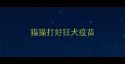 猫猫打好狂犬疫苗