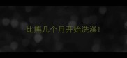 比熊几个月开始洗澡