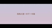 狗狗大便一半干一半稀