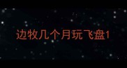 边牧几个月玩飞盘
