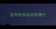 拉布拉多运动后跛行