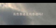 灰色泰迪是纯泰迪吗