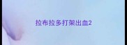 拉布拉多打架出血