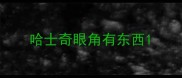 哈士奇眼角有东西