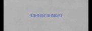 沈阳便宜的宠物医院