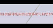 狗狗月经后接种疫苗的注意事项与科学护理指南