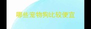哪些宠物狗比较便宜