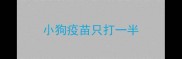 小狗疫苗只打一半