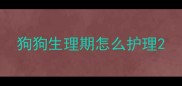 狗狗生理期怎么护理