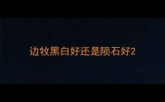 边牧黑白好还是陨石好