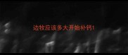 边牧应该多大开始补钙