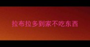 拉布拉多到家不吃东西