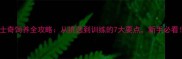 哈士奇饲养全攻略从挑选到训练的7大要点新手必看