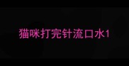 猫咪打完针流口水