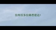 拉布拉多拉稀思密达