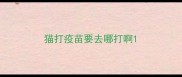 猫打疫苗要去哪打啊