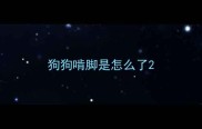 狗狗啃脚是怎么了