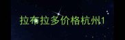 拉布拉多价格杭州