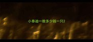 小泰迪一般多少钱一只