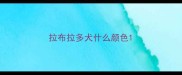 拉布拉多犬什么颜色