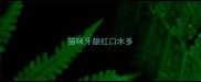 猫咪牙龈红口水多