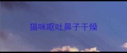 猫咪呕吐鼻子干燥