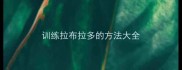 训练拉布拉多的方法大全